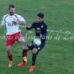 Foto G de Zanet Viterbese Cuneo 3-0 (1)