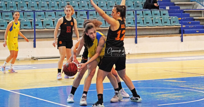 Foto G De Zanet Ants Basket Roma 3